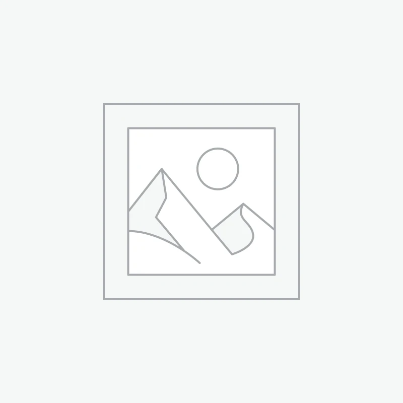 新品上市